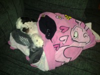 /album/patu/tammi13-003-jpg/